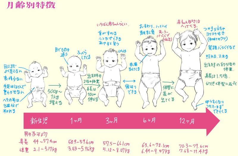 Визуальные изменения младенца от рождения до года