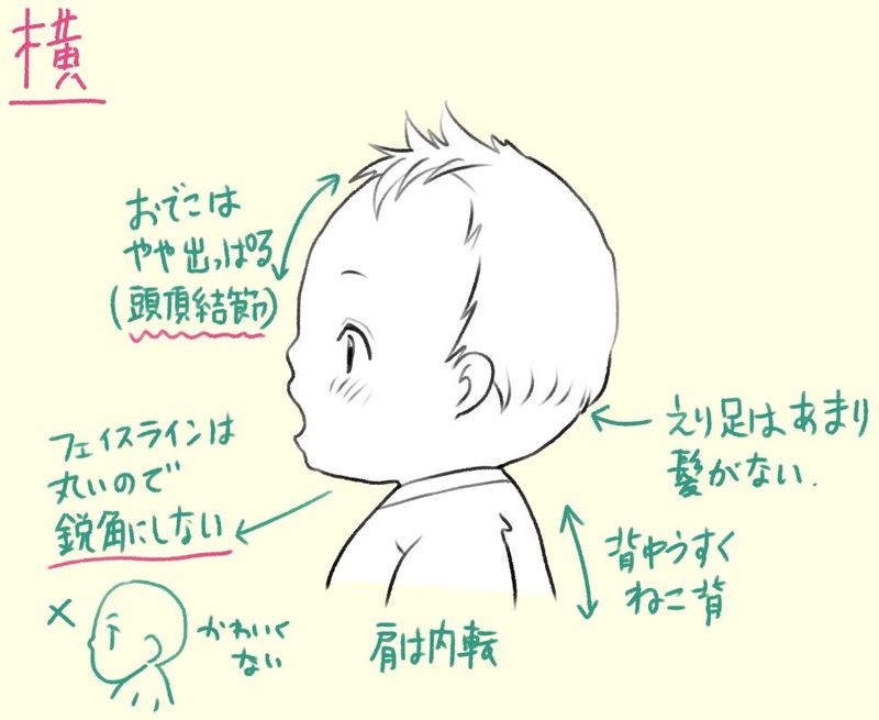 Особенности рисования лба и волос младенца