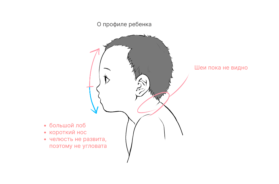 Особенности рисования лица и шеи младенца