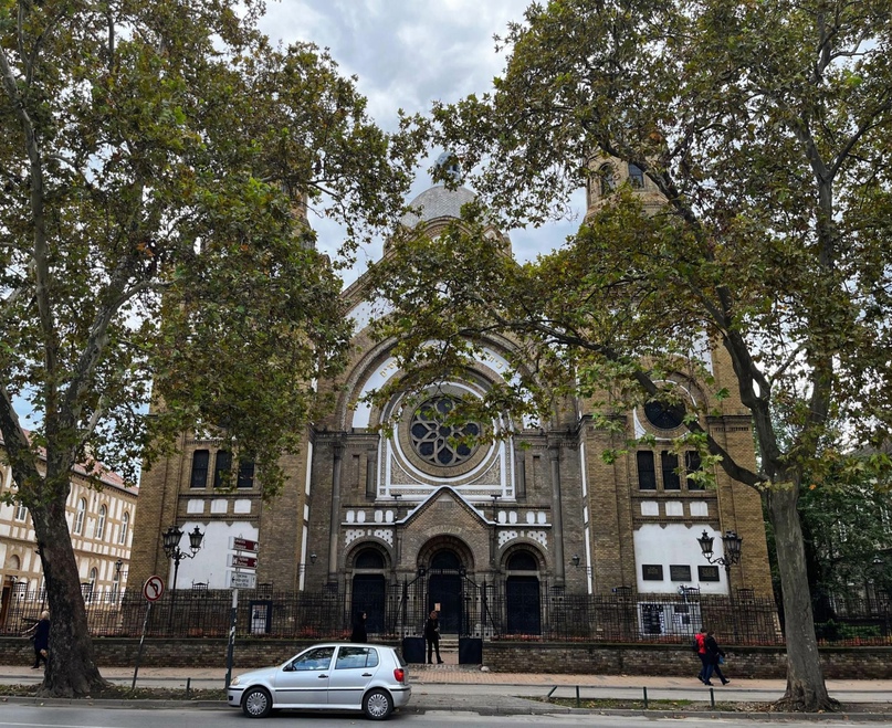 Пять историй о релокациях: как художницы переехали в новые страны и смогли там обустроиться 6 Виды во время прогулок по Нови Саду