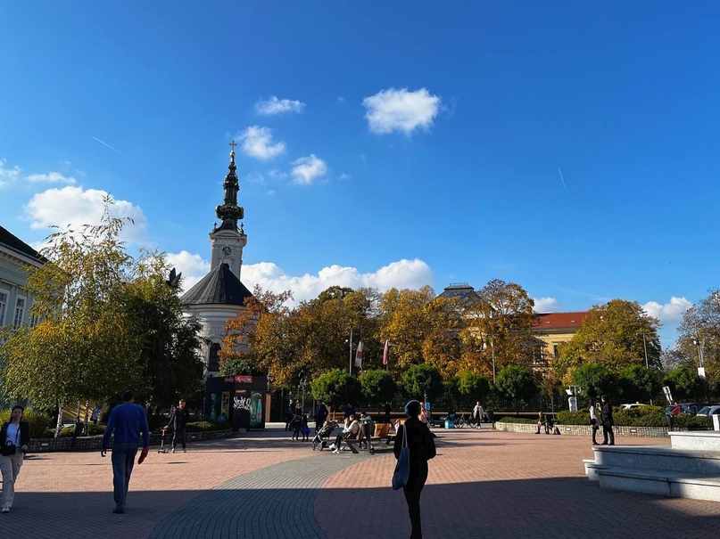 Пять историй о релокациях: как художницы переехали в новые страны и смогли там обустроиться 7 Архитектура Нови Сада