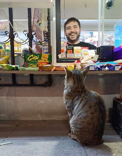 Пять историй о релокациях: как художницы переехали в новые страны и смогли там обустроиться 22 Взаимодействие кота с местными жителями Баку