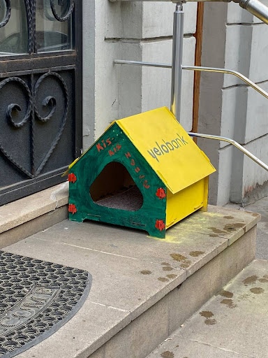 Пять историй о релокациях: как художницы переехали в новые страны и смогли там обустроиться 24 Домик для котеек где-то посреди Баку