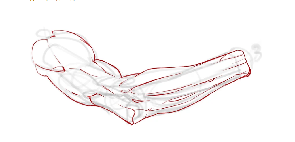 Детализация мышц руки