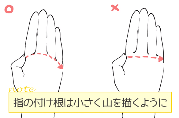 Использование дуги для разметки основания пальцев
