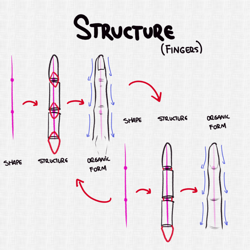Структура пальца при рисовании