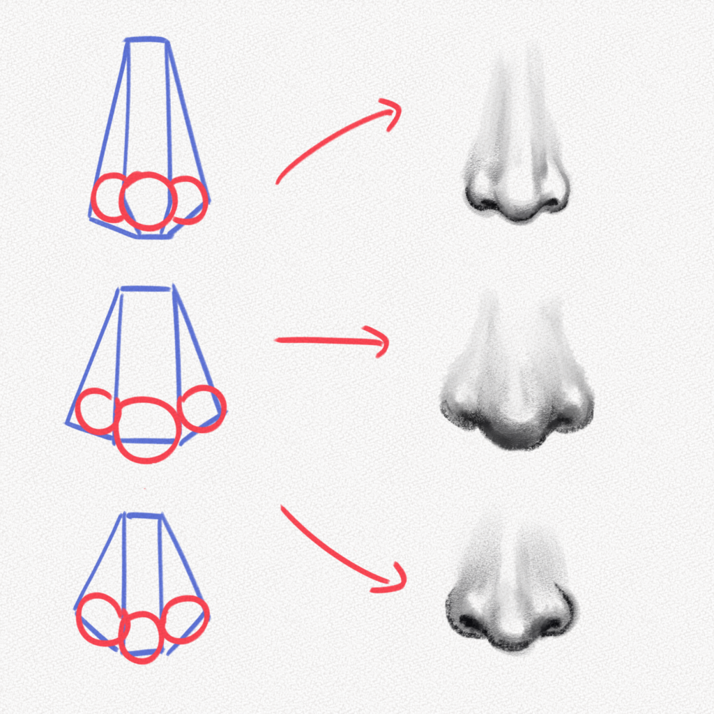 Простые формы в основе носа